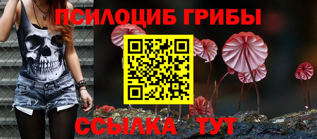 Галлюциногенные грибы MAGIC MUSHROOMS  Вход с VPN  Ирбит 