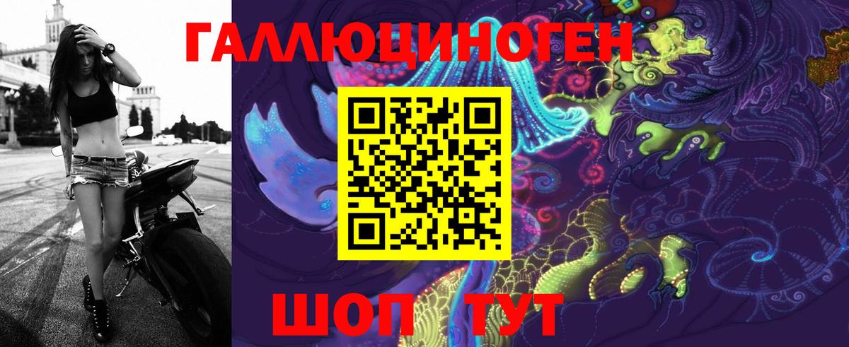 Псилоцибиновые грибы Psilocybe Ирбит